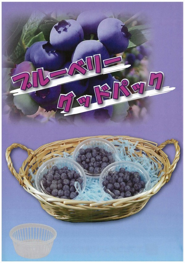 ブルーベリー容器.jpg