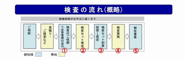 検便チラシ-2.jpg