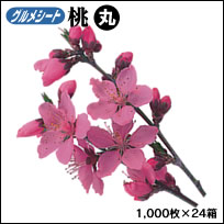 gs1-08_r13_c5.jpg